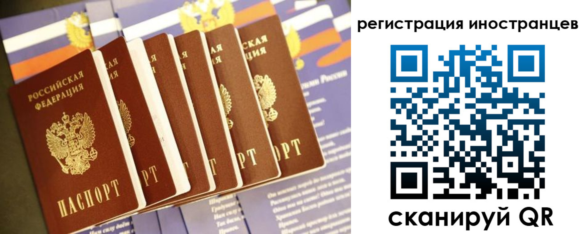 прописка в Чехове